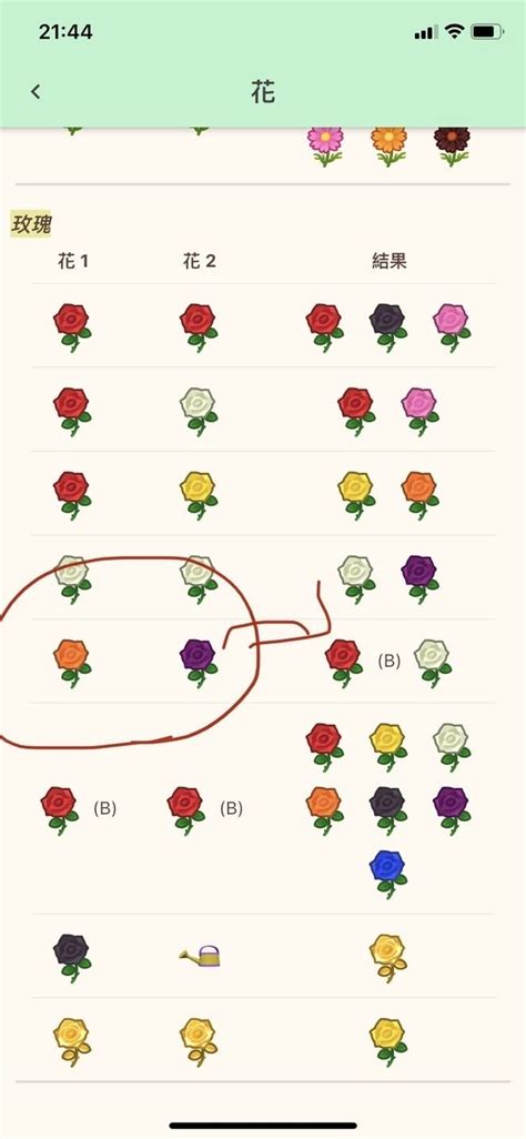 【攻略】全八種花朵配種(含外島花)流程圖 @動物之森 系列 （動 